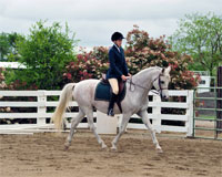 Competitor at schooling show