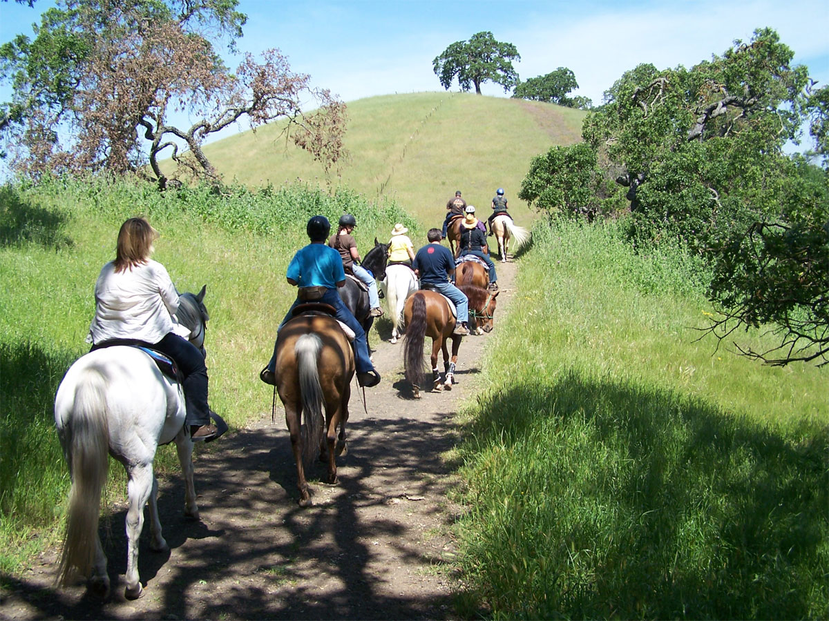 Trail Ride at Mendoza