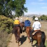 Gold Coast Arabian Trail Ride at Calero Park