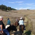 Gold Coast Arabian Trail Ride at Calero Park