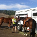 Gold Coast Arabian Trail Ride at Calero Park