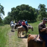 Gold Coast Arabian Trail Ride at Mendoza Ranch