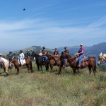 Gold Coast Arabian Trail Ride at Mendoza Ranch