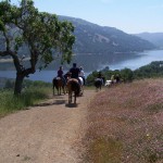 Gold Coast Arabian Trail Ride at Mendoza Ranch