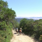 Gold Coast Trail Ride at Mt. Madonna