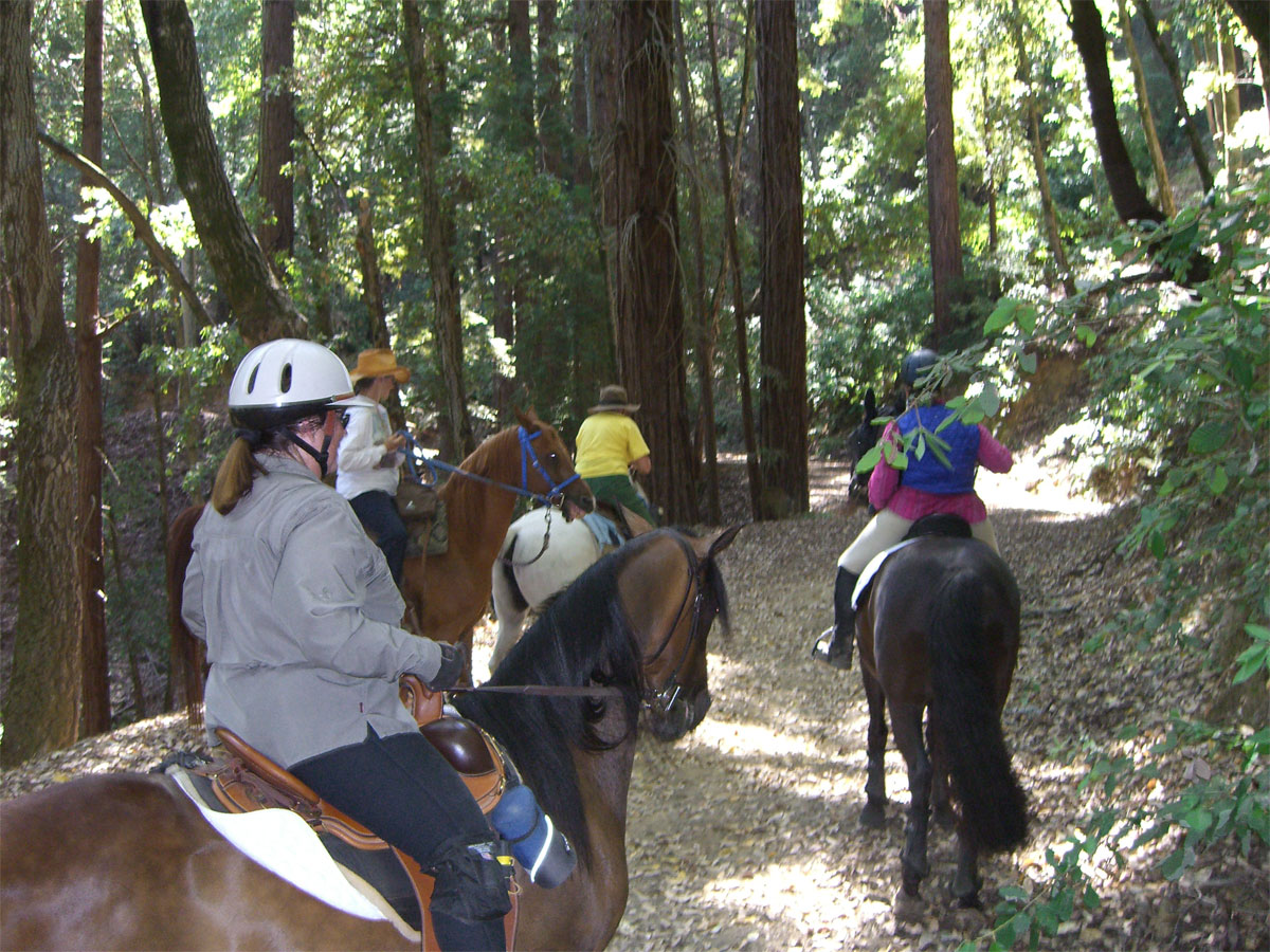 Mt Madonna Trail Ride