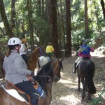 Gold Coast Trail Ride at Mt. Madonna