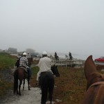 Gold Coast Arabian Trial Ride at Pebble Beach