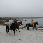 Gold Coast Arabian Trial Ride at Pebble Beach