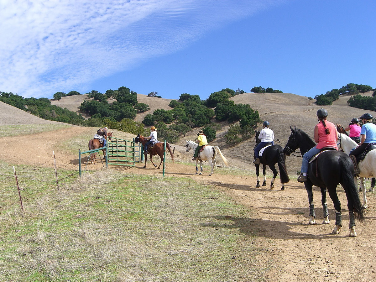 Trail Ride at Harvey Bear