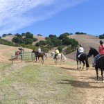 Gold Coast Arabian Trail Ride at Harvey Bear