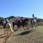 Gold Coast Arabian Trail Ride at Harvey Bear