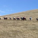 Gold Coast Arabian Trail Ride at Harvey Bear