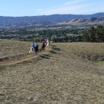 Gold Coast Arabian Trail Ride at Harvey Bear