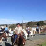 Gold Coast Arabian Trail Ride at Harvey Bear