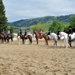 Photo from Gold Coast Arabian Schooling Show