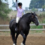 Competitor in a Gold Coast Arabian Schooling Show